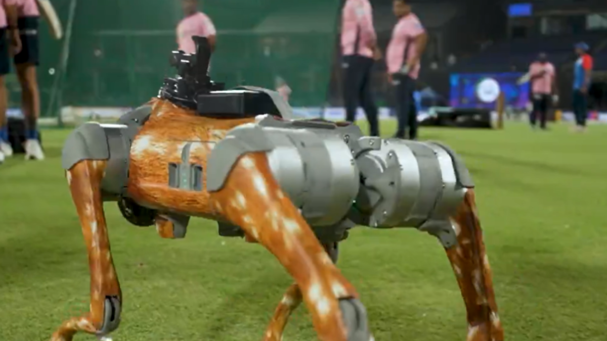 IPL 2025 Robot dog