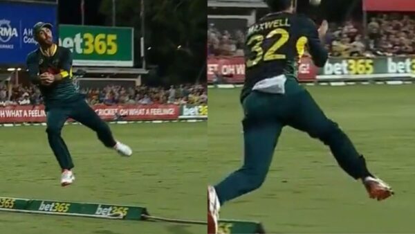 Glenn Maxwell Pulls Off A Stunner On Boundary To Dismiss Ryan Rickleton In Aus vs SA 1st T20I [WATCH]
